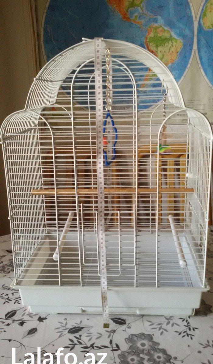 Quş yuvası satılır. Az istifadə olunub. Ölçüləri şəkildə görünür. Cidd