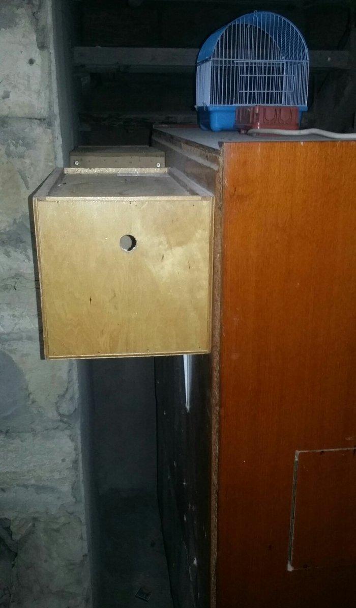 papuqaylar üçün iri qəfəs hər bir şəraiti var çoxlu papuqay salmaq ola