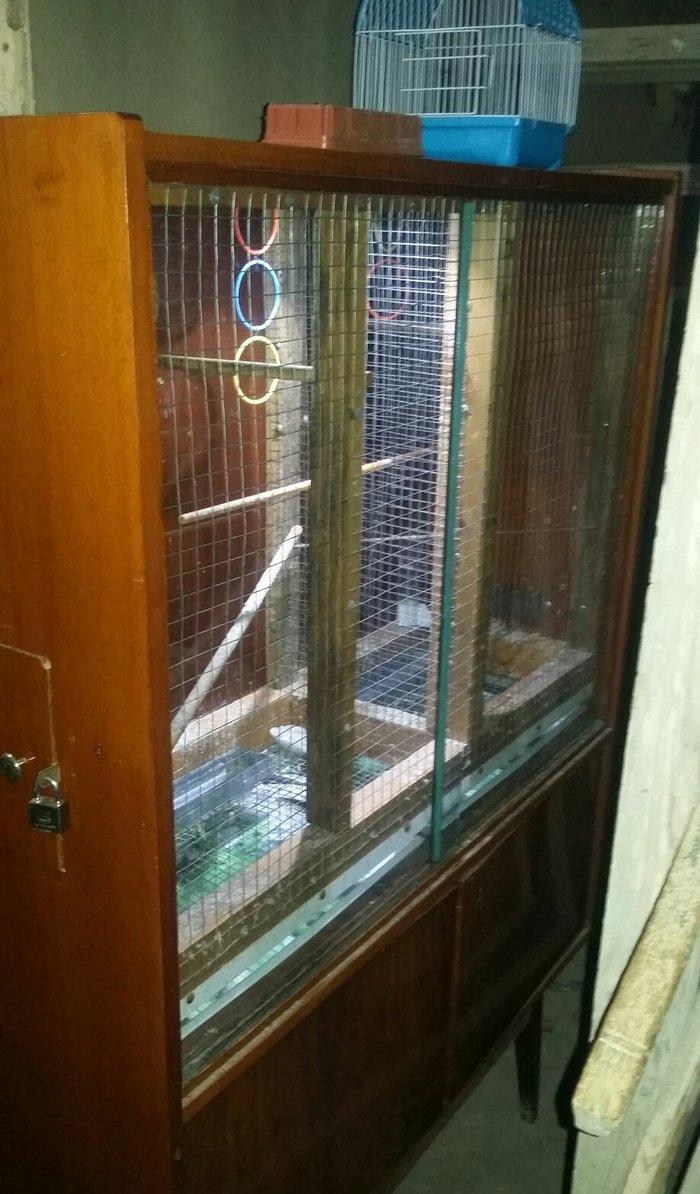 papuqaylar üçün iri qəfəs hər bir şəraiti var çoxlu papuqay salmaq ola