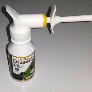 Orasel E 100 ml