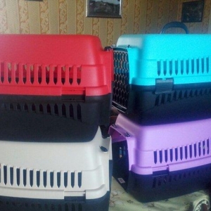 Dawiyici qəfəs, Türkiyə istehsalı, bu rənglərdən əlavə firuzeyi və roz