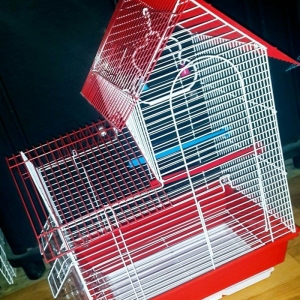 Teze iri qefes satilir. Wekilde gorduyunuz icinin butun aksesuarlari u