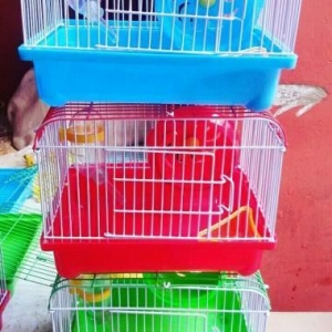 Xamyakcun qefes satilir her rengi var tezediler . Ustunde su qabisi, y