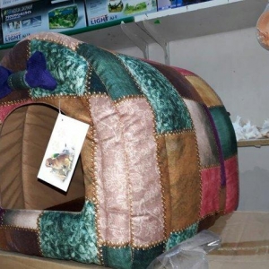 Sevimli it ve piwikler,dovwanlar ucun Ev satilir. Tezedir. Qiymet 35 a