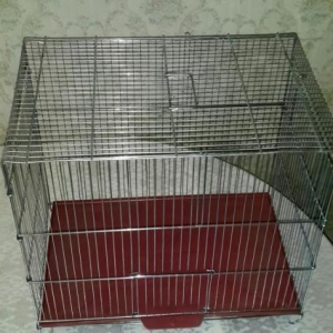 Teze Iri Iran qefesi satilir. Dovwanda saxlamaq ucun coxx serfelidir.