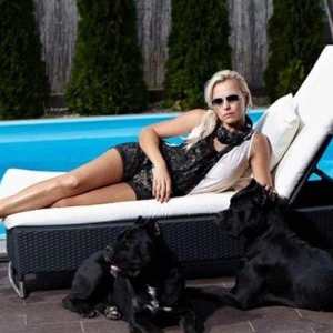 Орижинал италиян масивлари кане коросо сенетли пасапортлу алычынын ады