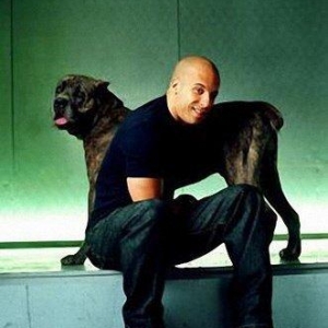 Орижинал италиян масивлари кане коросо сенетли пасапортлу алычынын ады