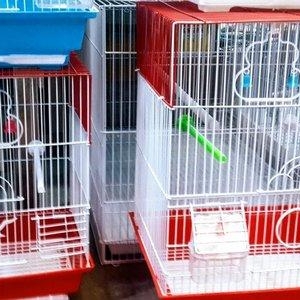 Teze qefesler satilir . Icinin her bir aksesuarlari ile birlikde. 2 pa