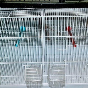 Teze iri arakesmeli qefes satilir. Iconin gorduyunuz her bir aksesuari