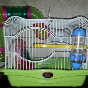 Xamyak ve cunqarikler ucun teze  her bir aksesuari ile qefes satilir.D