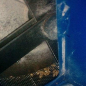 Yem üyüdən

ukrayna istehsalı
saatda 450 kq yem üyüdür
+ ot çekir
+ me