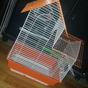 papuqay bulbul ve amadinler ucun teze qefes her bir aksesuari ustunde