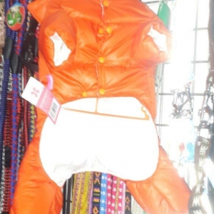 Sevimli itler ucun paltarlar. Biz size istenilen mehsulu onlayn olaraq