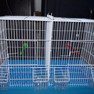 Quslarcun ortadsn iki hisseye bolunen boyuk teze qefes butun aksesarla