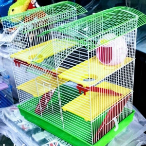 Xamyak ve chunqariklercun boyuk olcude qefes satilir tezedir her bir a