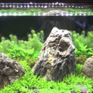 Особеннос AquaLighter 1 (75 см) до 99 смУльтратонкий (7.5 мм),