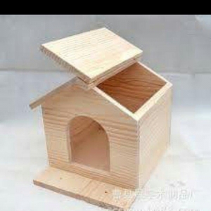 Her nov papuqaylarcun seliqeli maraqli eylenceler yuvalar ve bawqa aks