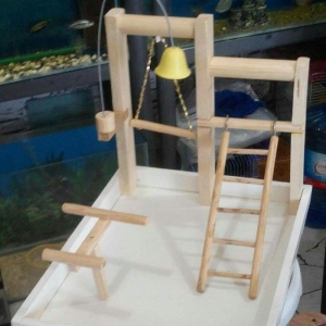 Her nov papuqaylarcun seliqeli maraqli eylenceler yuvalar ve bawqa aks