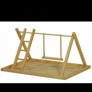 Her nov papuqaylarcun seliqeli maraqli eylenceler yuvalar ve bawqa aks