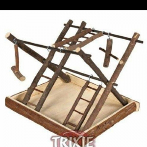 Her nov papuqaylarcun seliqeli maraqli eylenceler yuvalar ve bawqa aks