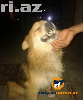 Weraitim Olmadigi Ucun Deyiwirem Pula Ehtiyacim Yoxdur .