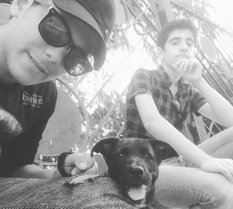 Europeidski ovçarka sinesi ayalarının ucu ağ rengde 3ay4 günlük erkek