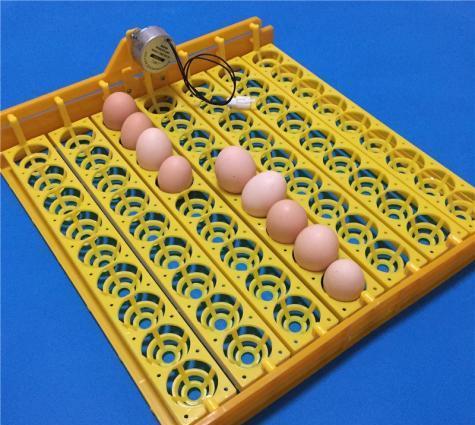 Inkubator üçün 63 yumurta fırladan