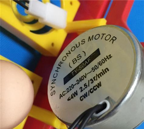 Inkubator üçün 63 yumurta fırladan