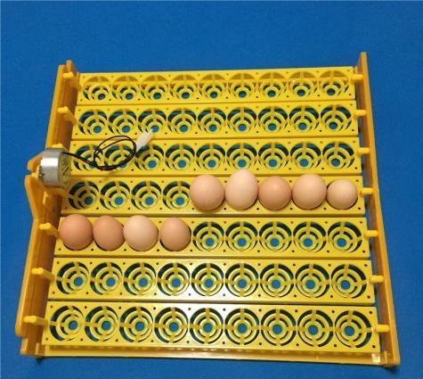 Inkubator üçün 63 yumurta fırladan