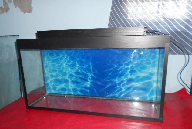 Qurbanliq Quzular satişı.