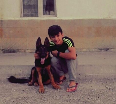 nemecki ofcharka temiz