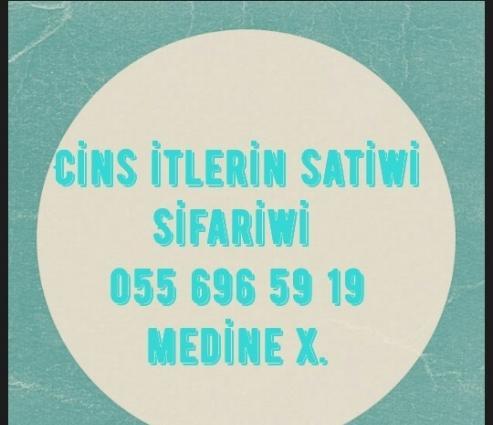 her paroda brend itkerin satiwi tam saglam