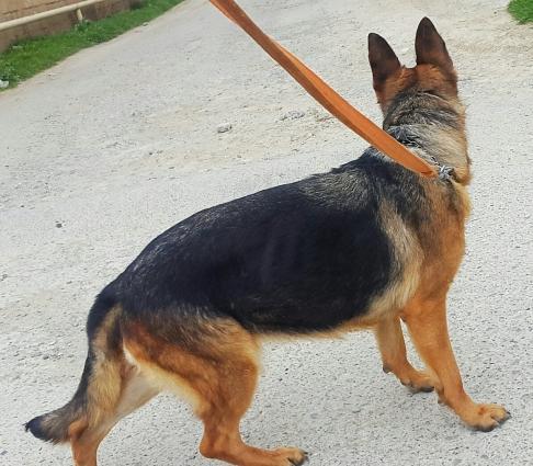 Bu cutlukden olacaq balalari isteyen Bron ede biler.