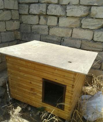 yuva , it üçün , usta işidi içi ve alti steklovat materialnan işlənib