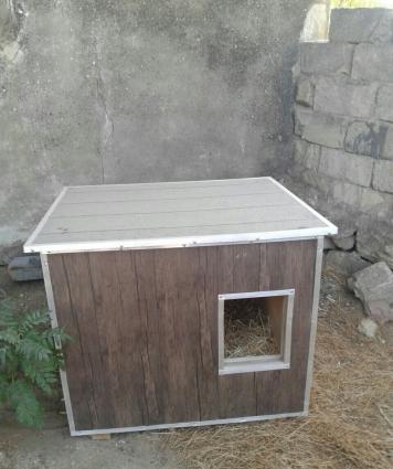 yuva , it üçün , usta işidi içi ve alti steklovat materialnan işlənib