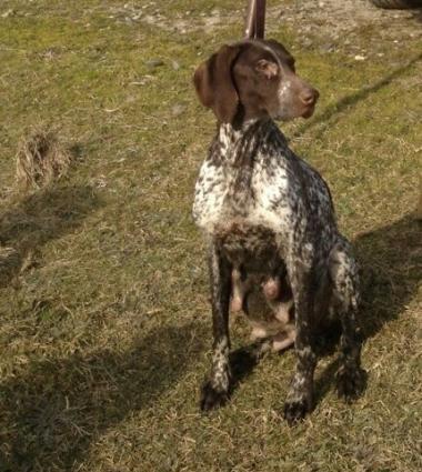 Qucxar kucukleri satilir dedesi anasi yaxwi iwdeyir turaca kehliye bi