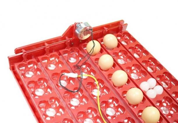 İnkubator üçün 144 yumurtalıq Avtomatik Yumurta fırladan Aparat.İstəyə