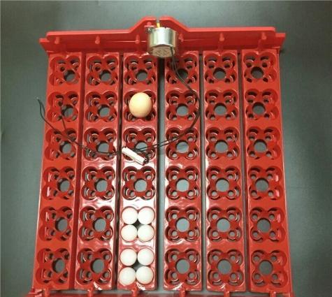 İnkubator üçün 144 yumurtalıq Avtomatik Yumurta fırladan Aparat.İstəyə