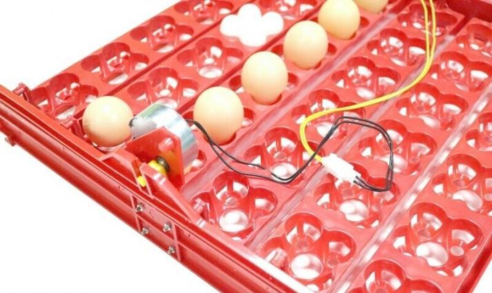 İnkubator üçün 144 yumurtalıq Avtomatik Yumurta fırladan Aparat.İstəyə