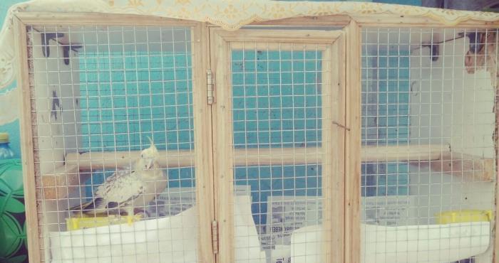 Karella satılır böyük setkası ilə birlikdə