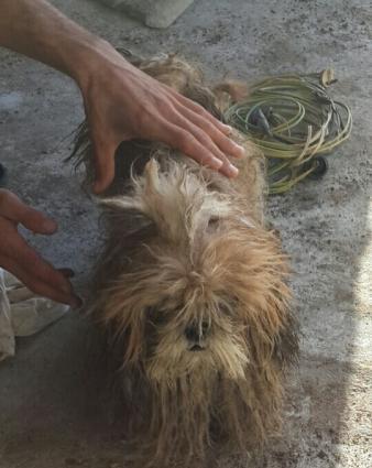 salam teze uwaq olduqu ucun evde saxlaya bilmirem bayra buraxmiwam