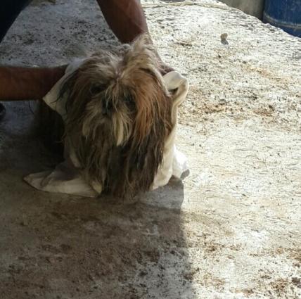 salam teze uwaq olduqu ucun evde saxlaya bilmirem bayra buraxmiwam