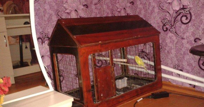 Qefes satilir 30 manata ela veziyetdedi boyuk qefesdi 70 uzunu 60 hund