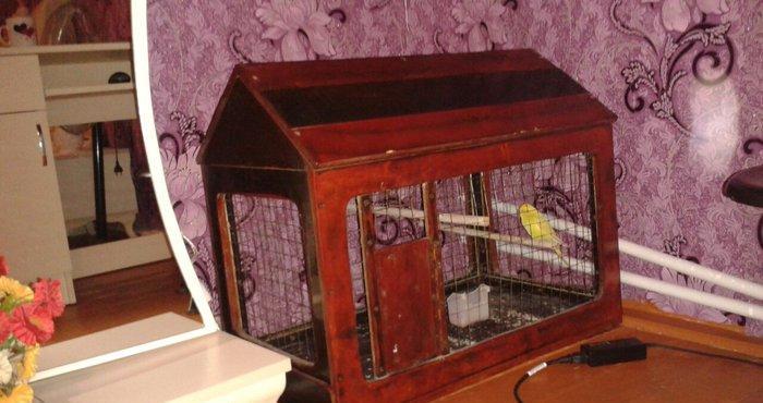 Qefes satilir 30 manata ela veziyetdedi boyuk qefesdi 70 uzunu 60 hund