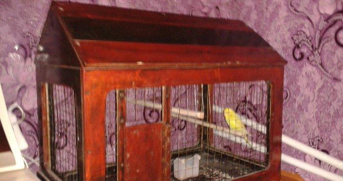 Qefes satilir 30 manata ela veziyetdedi boyuk qefesdi 70 uzunu 60 hund