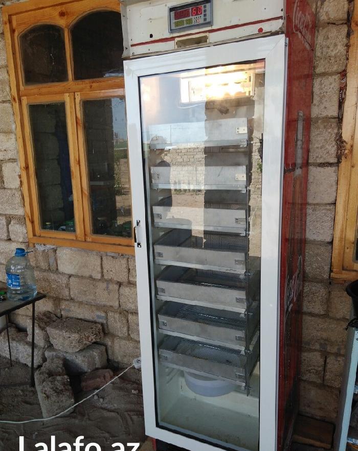 inkubatorlarin yığılması ve temiri. inkubator tam avtomatik rejimde m