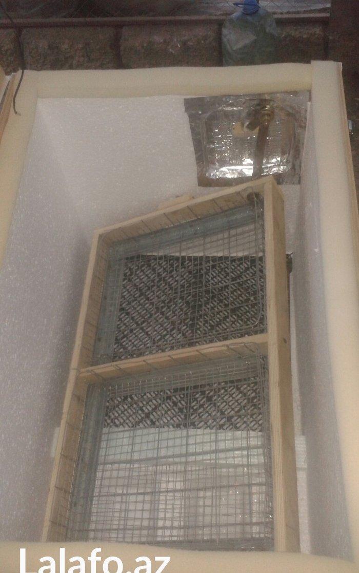 Inqibator satılır və sifarislə yıgılır 120 yumurtalıq 145 azn mexanik