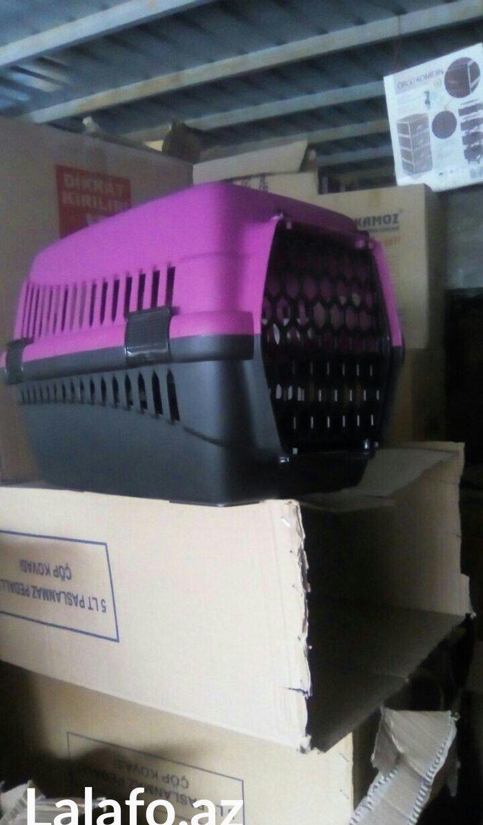 Qəfəs yenidir, whatsapp aktivdir və ya nömrəyə zəng edib maraqlana bil