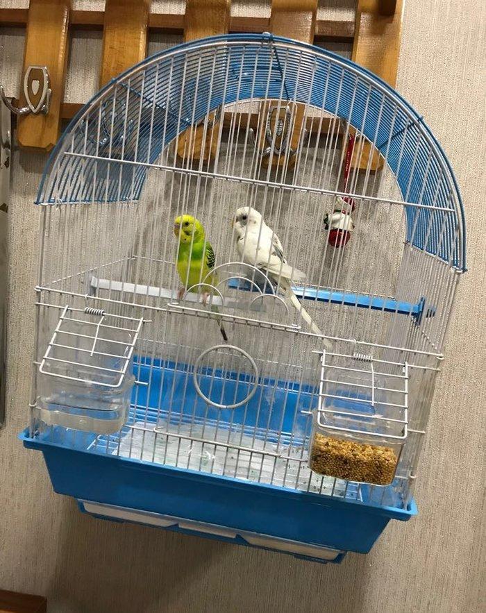 Продаётся! купили недавно ,из за того что дома маленький ребёнок не