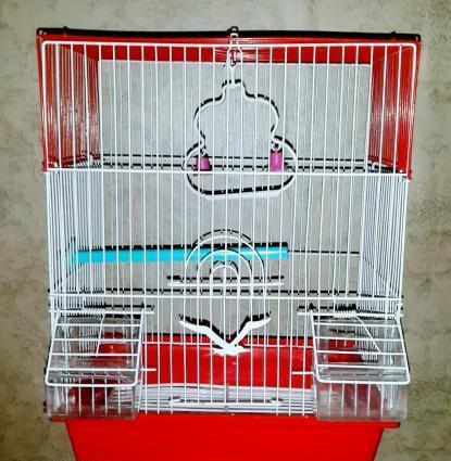 Iri qefes satilir. Su qabi , yem qabi,  papuqay  durmasi ucun cubuq ve